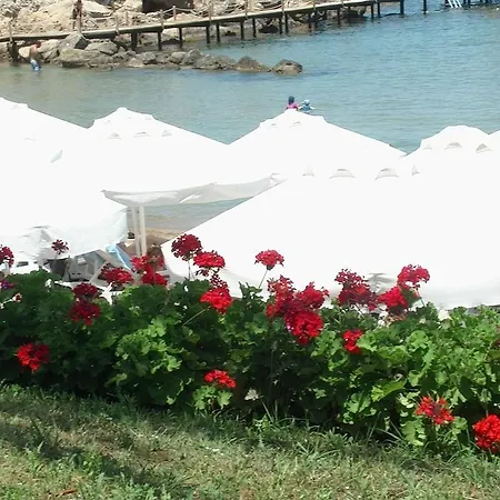 Denizkizi Hotell 4*